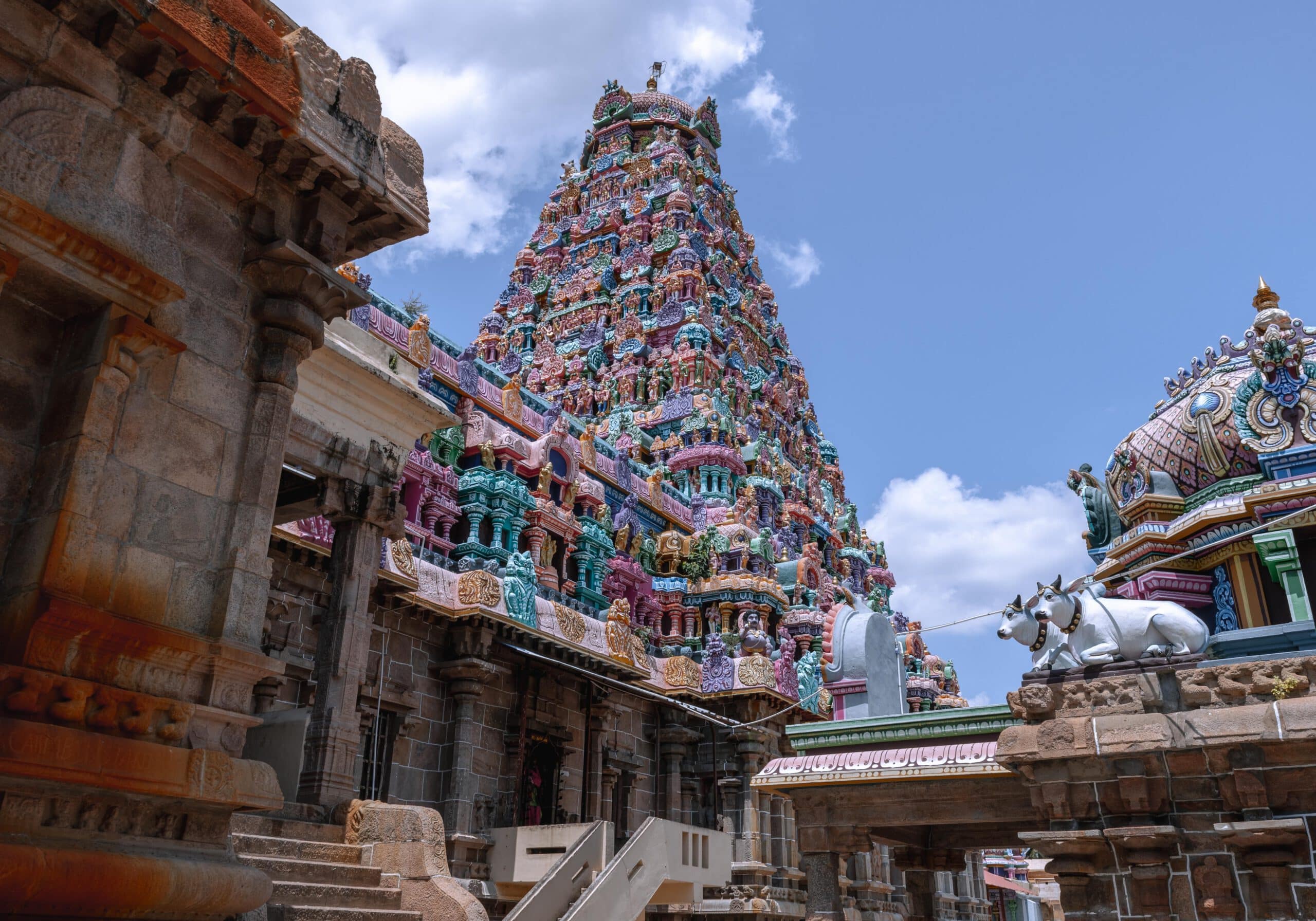 tamil nadu